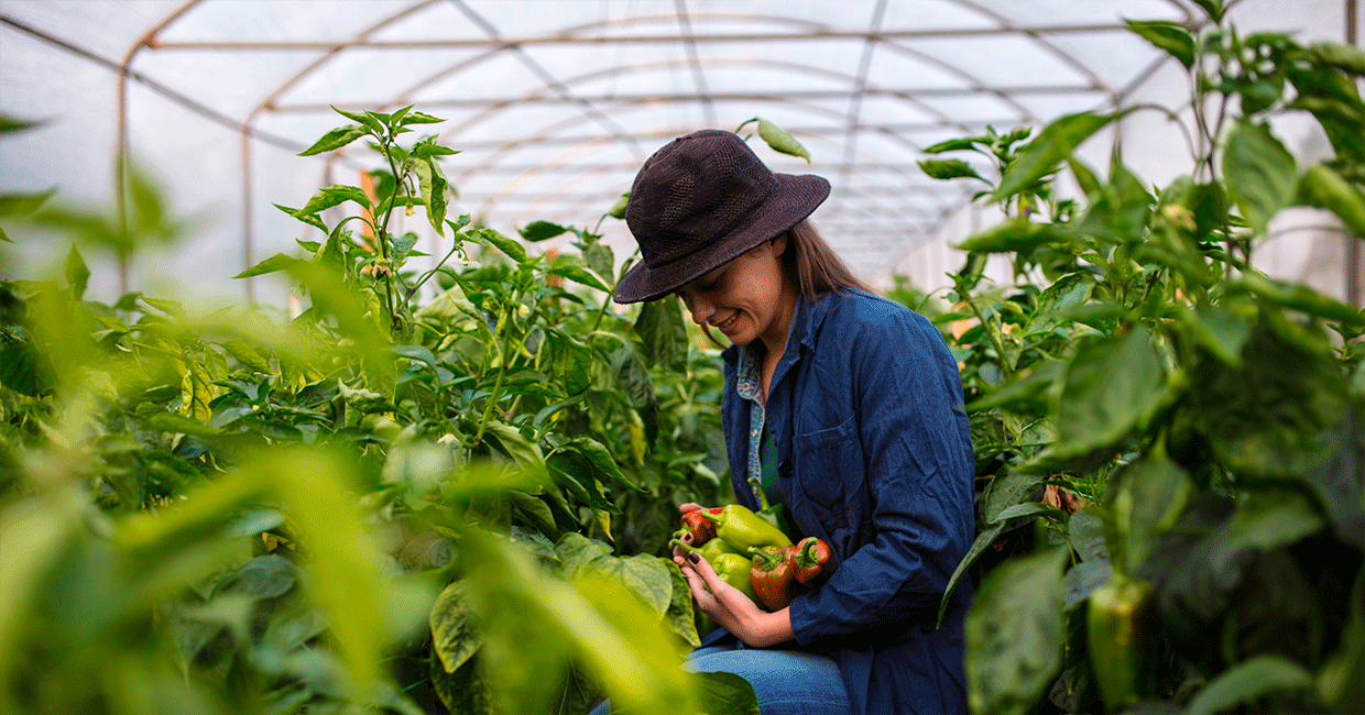 Eurocover Agricultura